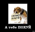 55210_a_tebe_pofig.