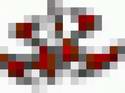 5524clan.