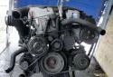55295_79502soabullfromrimentku9595428.