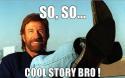 55324_so-so-cool-story-bro-.