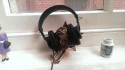 55416_JoshHeadphones.