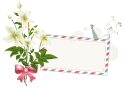 5549Ha_flowercard012.