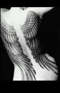 55505_angel_tattoos-2267.