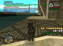55538_sa-mp-163.
