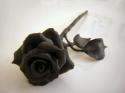 55603_Black_Rose4.