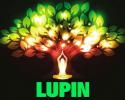 55603_lupin.