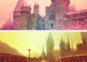 55738_tumblr_m1eeroVxaK1qckbr7o2_500.
