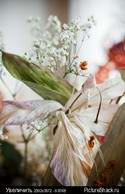 5573DSC_0193.