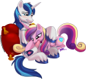 55882_831407_-_Friendship_is_magic_My_Little_Pony_Princess_Cadence_Shining_Armor_pandadox_tagme.