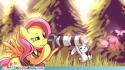 5603my-little-pony-friendship-is-magic-brony-shuttershy1.