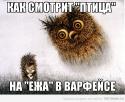 56092_N2VqJqNCLUA.