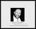 56149_rip_james_gandolfini-2.