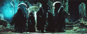 56154_tumblr_m4vzo3gnjk1qgecupo1_500.