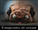 56171_Snimok_ekrana_15.