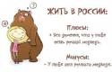 56212_medvkd.