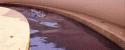 56307_gadkii15.