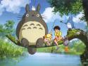 56387_moi_sosed_totoro.
