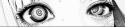56491_animation1432694457.
