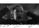 56529_tumblr_lh49ausfVz1qa0rz0o1_500.