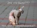 56544_0b22a.
