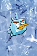 56680_oboi_ice_bird.