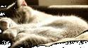 56683_fotometki_image_78ec80d3.