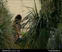 5671PDVD_000.