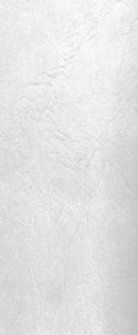 56722_White-Leather-texture-2.