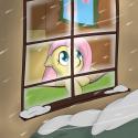 5672blizzard_shy_by_theparagon-d4kcp45_png.