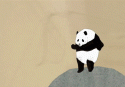 56761_dancing-dancing-panda-gif-Favim_com-375108.