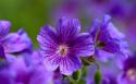 56761_images.