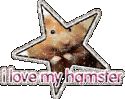 56873_i-love-my-hamster-1.