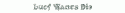 57112_lucytitle.