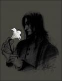 57182_129883_tribune_severus_snape.