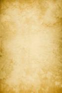 57232_background3-8d04orange.