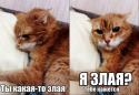57333_pSQekCyxe1o.
