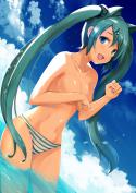 5733_Anime-Vocaloid-Hatsune-Miku-rods-2226884.