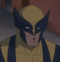 5744wolverine_facepalm.