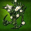 5748LOGO2.