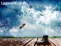 57671_Logovorecords.