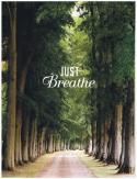 57774_breathe-forest-text-tree-Favim_com-500896.