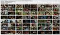 5781thumbs20090107130820.