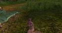 57838_ScreenShot0078.