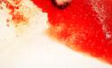 57960_DSCN0075.