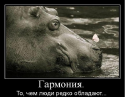57981_Bezymyannyi.