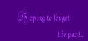 5805Foto0015.