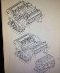 58085_8348849thropinwedrabava2450447.