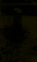58197_foto0422.