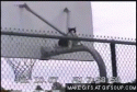 58279_cat-slides-down-pole-o.