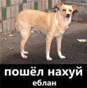 58402_onugm6XQAV8.